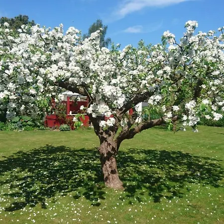 Bymarkens *