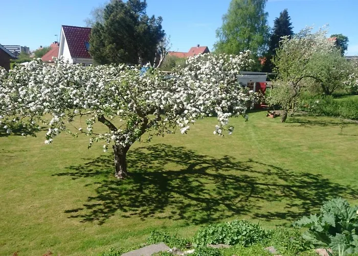 Bed & Breakfast Bymarkens Roskilde