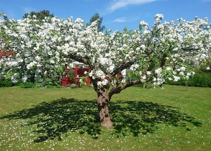 Bymarkens *